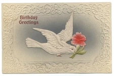 BIRTHDAY white peace dove applique airbrushed carnation doily border postcard