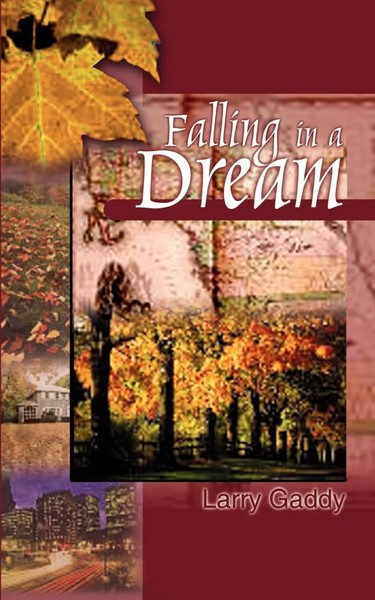 Larry Gaddy | Falling In A Dream | Taschenbuch | Englisch (2001)-image