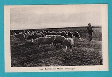 Pastures in the Seine and Marne: postcard, old postcard / MC