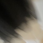Bild 9 von 9