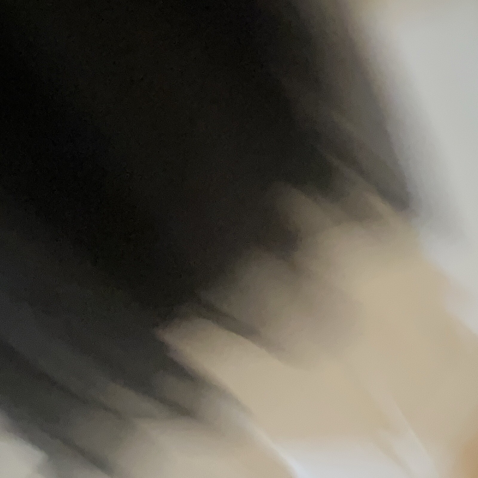 Bild 9 von 9