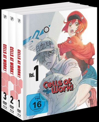 Cells at Work! + DVD Gesamtausgabe Blu-ray  *NEU*OVP*