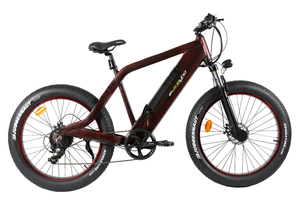 Electric Bicycle