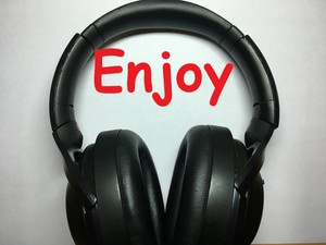 Sony Mdr 1000x Wh 1000xm2 Inside Outside For Repair Ebay