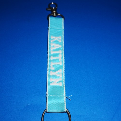 Key Chain Embroidered Lanyard Ring Clasp Choose Name or Fun Phrase 6" Colorful - 第 85/205 張圖片