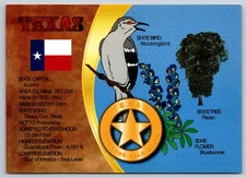 The Lone Star State Texas Postcard with Mockingbird Pecan Bluebonnet Art