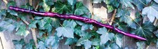 Natural Twisted Spiral Olive Wand Witch Pagan Wizard LARP Renaissance Faire #32