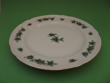 Seltmann Weiden, Wien, grüne