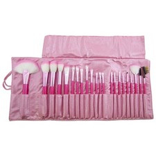 22 Piece Professional Cosmetic Makeup Pink Brush Set with Pink Bag