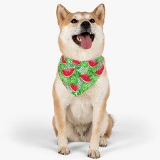 Tropical Watermelon Pet Bandana Collar- Summer Dog Collar