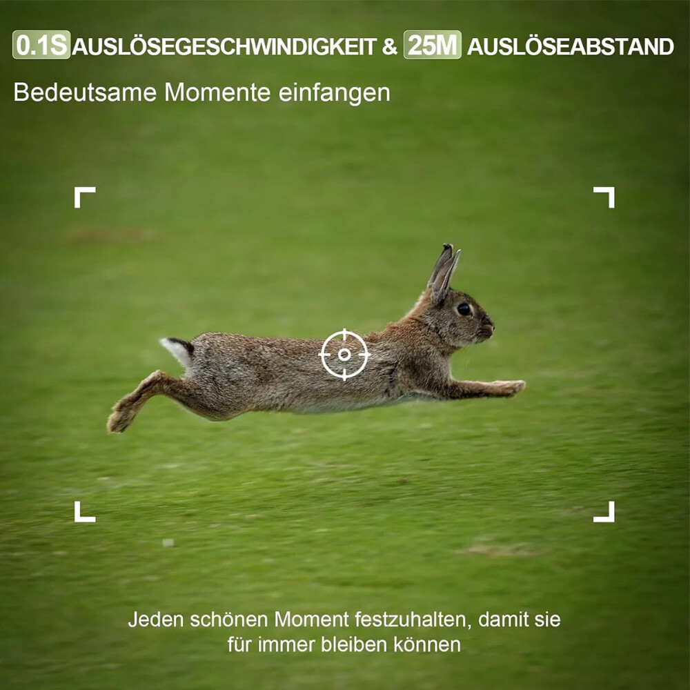 Bild 15 von 15