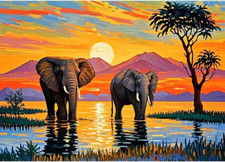 Landscape Scenery Diamond Art Painting Kits for Adults: Elephant Diamond Art Pai