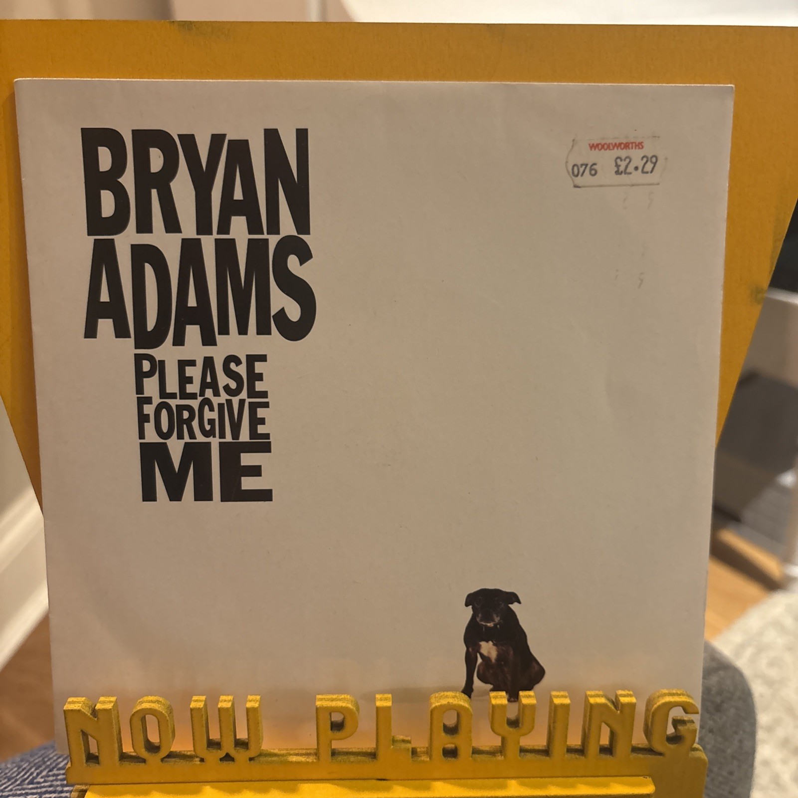 Bryan Adams: Please Forgive Me  7"" Vinyl  Record : 1993 - A&M