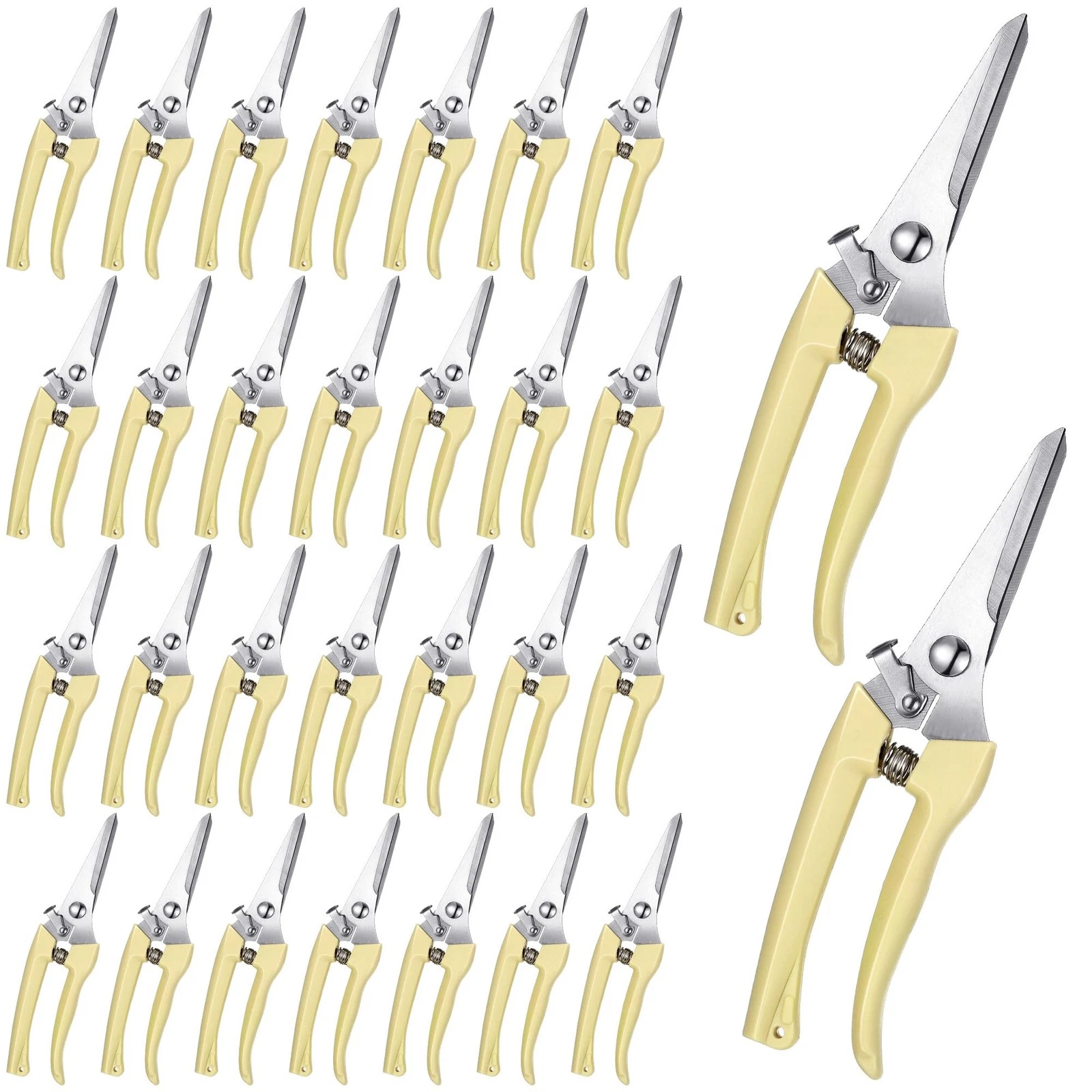30 Pcs Garden Flower Shears Pruning Scissors Heavy Duty Plant Scissors Trimmi...
Opens in a new wind