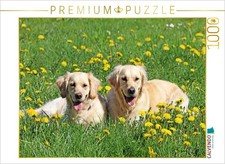 CALVENDO Puzzle Golden Retriever im Fr hling  1000 Teile Lege-Gr  e 64  48 cm