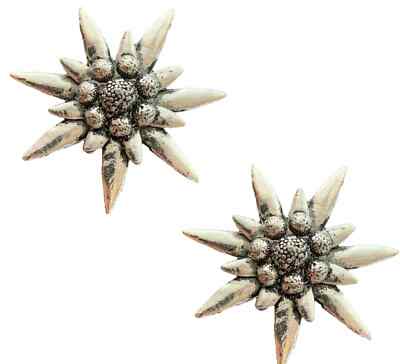 2 x Large Edelweiss Handcrafted From English Pewter Pin Badges TSB-C1