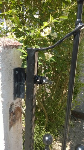 GATE, ARCHED GATE, GARDEN GATE, METAL GATE, WROUGHT IRON METAL GATE, - Picture 8 of 11
