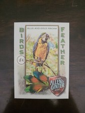 2021 Topps Allen & Ginter Birds of a Feather Insert #BOF-4 Blue-and-Gold Macaw