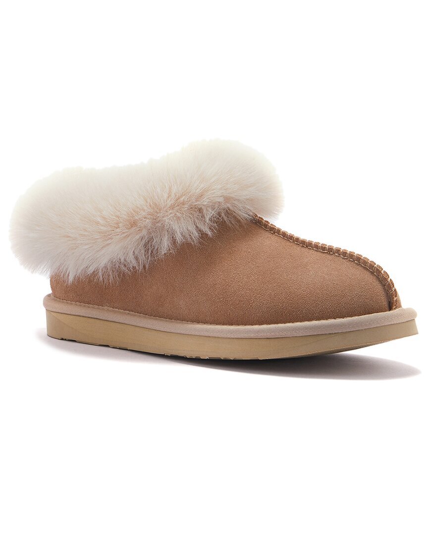 Женские замшевые тапочки Australia Luxe Collective Outback