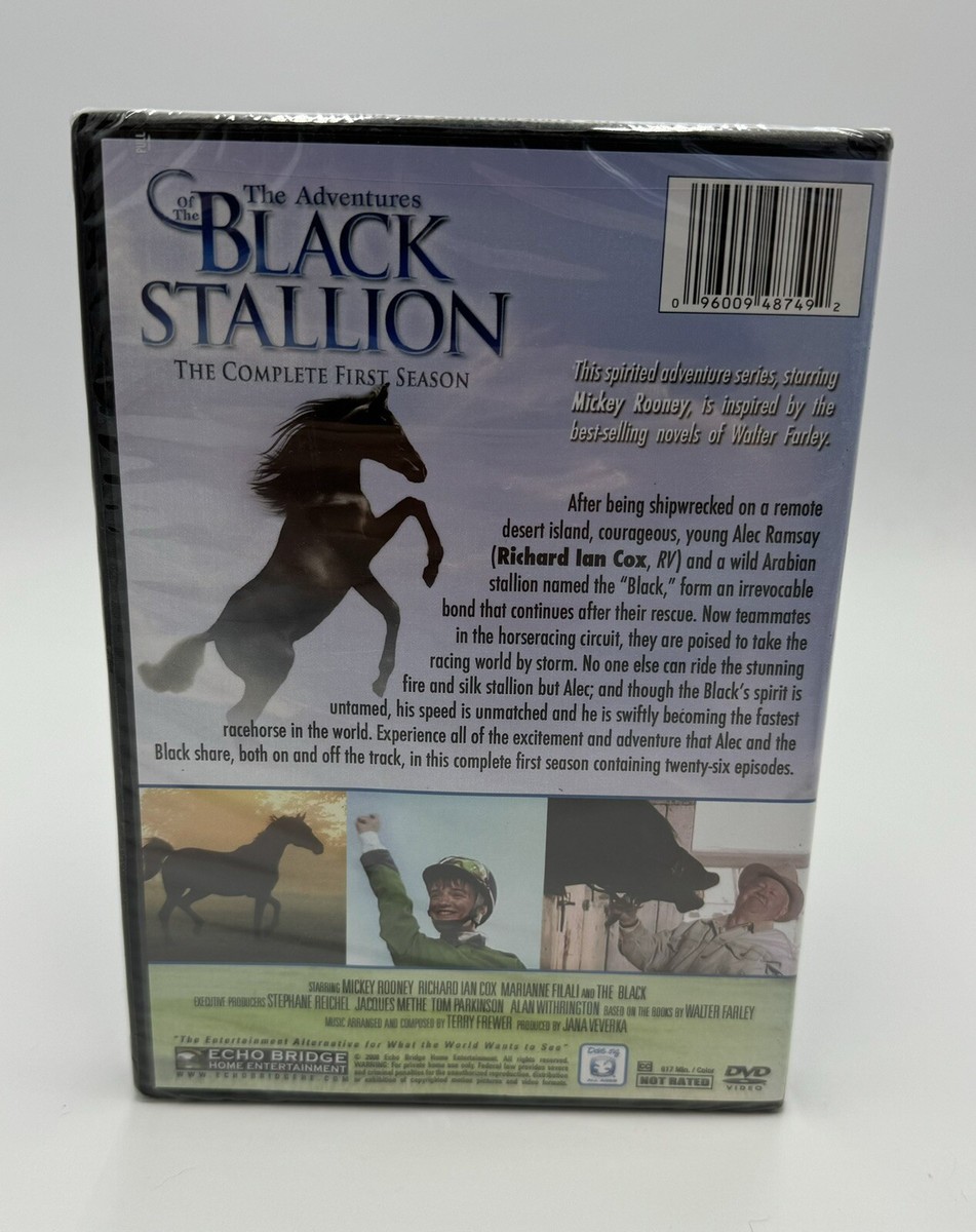 (未使用･未開封品)Adventures of Black Stallion: First Season [DVD] Amazon.com: The Adventures Of The Black Stallion - The