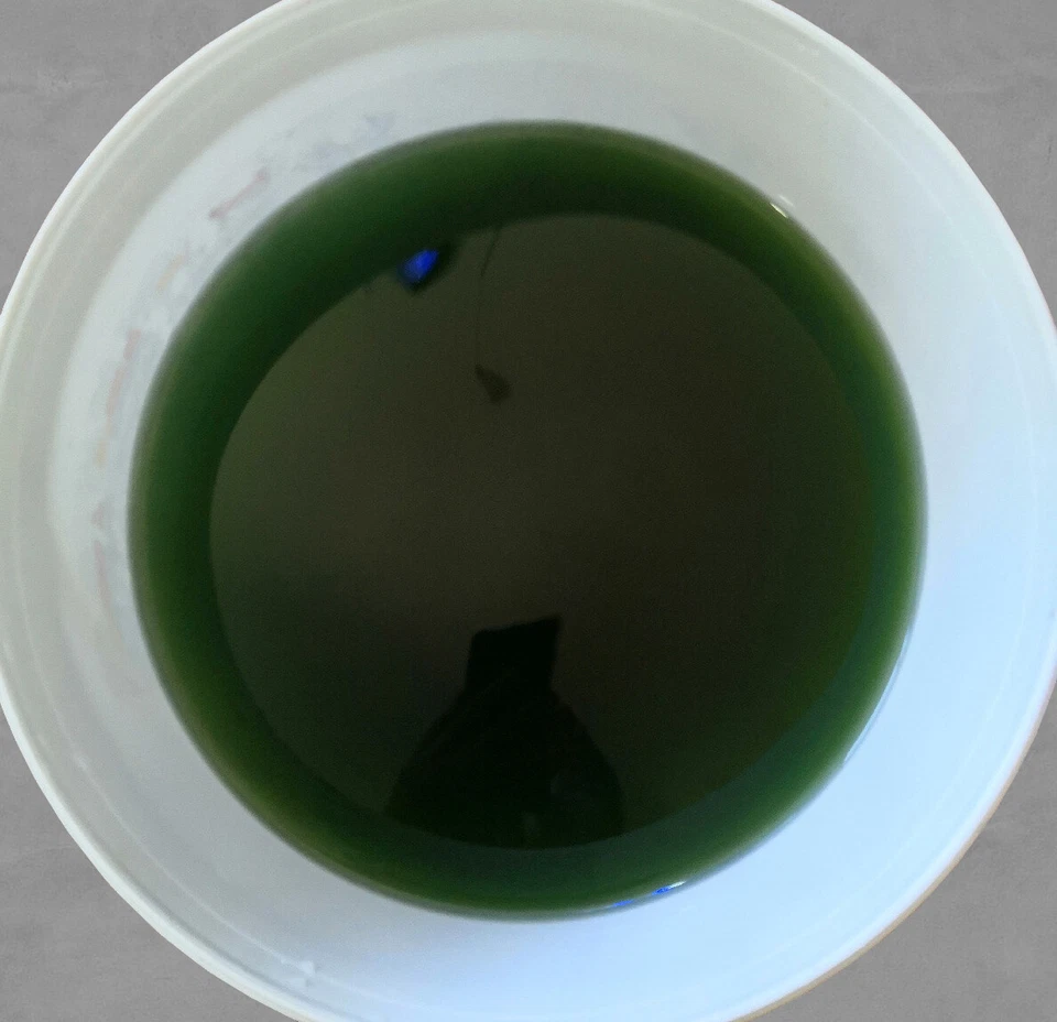 5,5 Liter Phytoplankton Synechococcus Meerwasser Plankton gegen Cyano - Bild 2 von 2