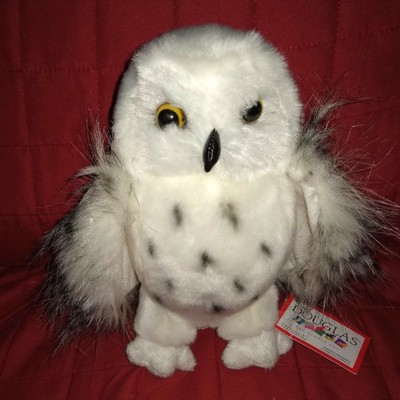 douglas wizard snowy owl