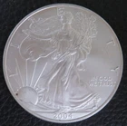 2001 American Silver Eagle 1 Troy Oz .999 Fine Silver Encapsulated