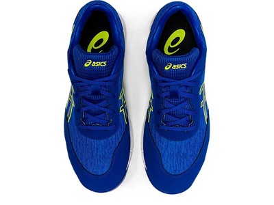 ASICS WINJOB CP212 AC WIDE　新品未使用 27cm ASICS Safety Work Shoes WINJOB CP212 AC ASICS Blue 1271A045.400