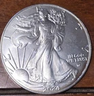 2024 Walking Liberty 1 oz BU Coin .999 Fine Silver