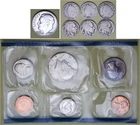 13 Total - 7 Old Coins (1 Roosevelt, 3-Lib Vs and 3 Buffalos) & 1 1985P Mint Set