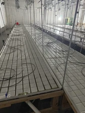 Drain To Waist Infinity Tables. 4x8 Section And 4x4 Ends