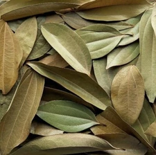 500+ Tej Patta Leaves /Dry Indian  Bay Leaves/ Selected Extra Large Size 7inches