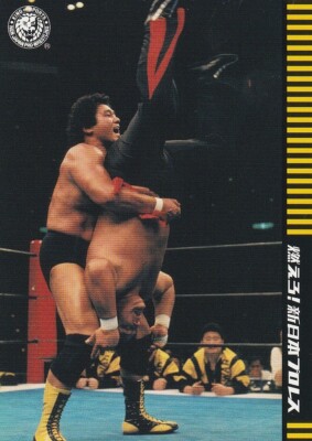 Genichiro Tenryu 2012 Shueisha Pro Wrestling #11