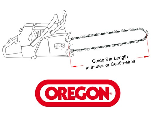 Oregon 12\