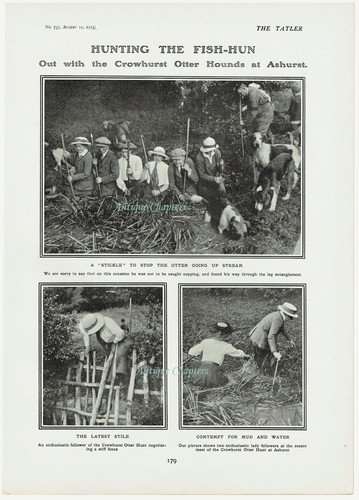 Crowhurst Otterhounds at Ashurst 1915 Photo Article C33 - 第 2/2 張圖片