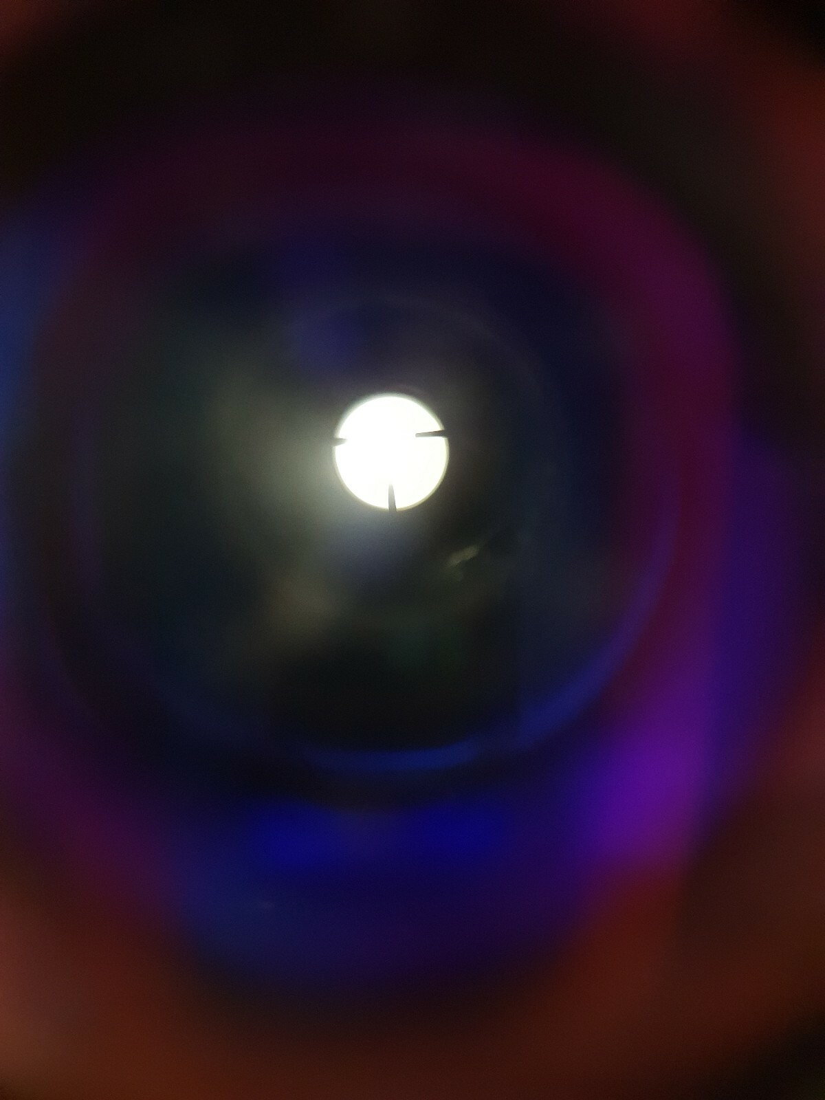 Picture 3 of 11