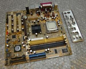 asus p5vdc-tvm te s treiber