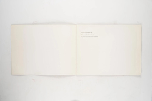 Intricate Structure / Repeated Image by Sol LeWitt 1976 - Bild 2 von 5