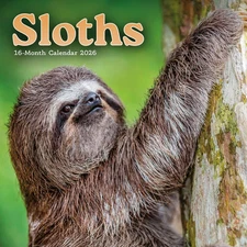 Carousel Calendars,  Sloths 2026 Mini Wall Calendar, 12'' X 7'', 16-Month Calend
