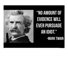 N117 Funny Mark Twain Idiots Quote Refrigerator Magnet NICE!