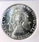 1989  Silver Eagle $1 MS70 Brilliant Uncirculated + Frosty White Business Strike