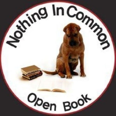 Audio Cd - Nothing In Common - Open Book  - Vitamin Entertainment -D- Neu