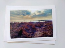 7 Variety Blank Greeting Cards w/ Envelopes, Nature Themed, Perfect for a Gift