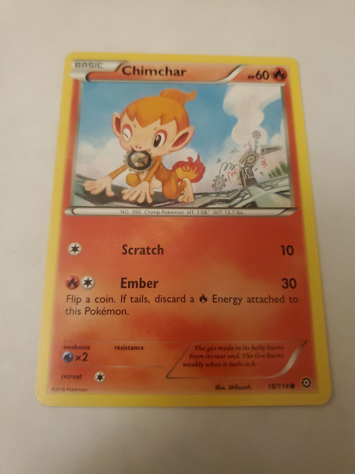 Pokémon TCG Chimchar Steam Siege 18/114 Regular Common