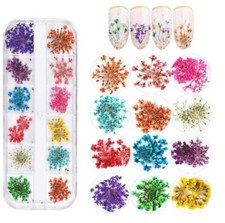 12 Color Real Dried Flowers Nail Art Set 3D DIY Manicure Decoration Box Floral