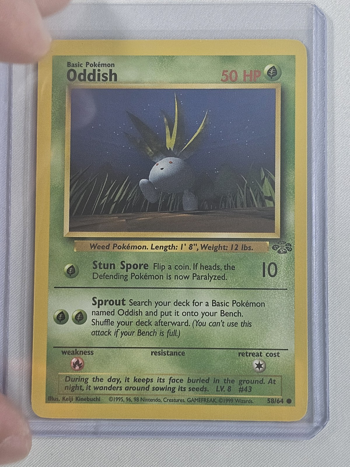 Oddish 58/64 Jungle-Unlimited Edition Regular - English - NM