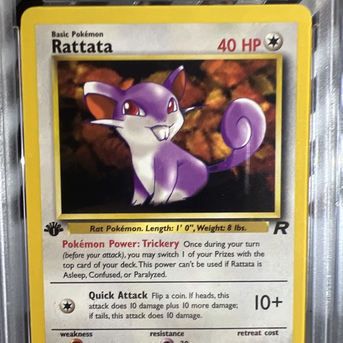 Pokémon Card PSA8 ポケモンカード　コラッタ　Rattata 🔥Pokemon 1st Edition Rattata 66/82 Team Rocket PSA 8 NM/Mint | eBay