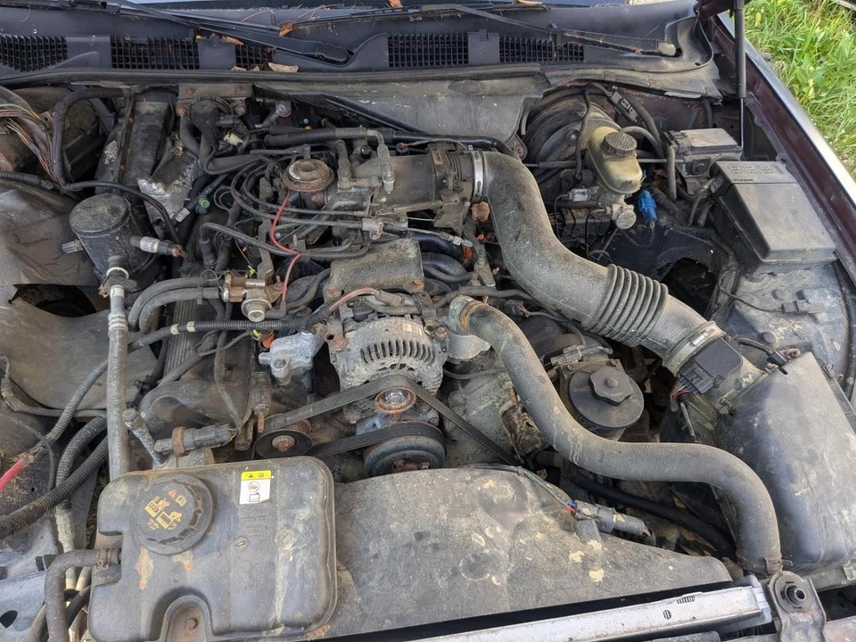 Starter Motor Thru 3/13/05 Fits 96-05 CROWN VICTORIA 179501 - Image 4 of 4