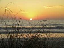 Ceramic Backsplash Tile Mural Real Life Kitchen/Bathroom - Sunset Seagrass