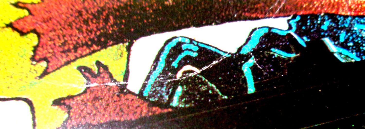 Picture 7 of 7